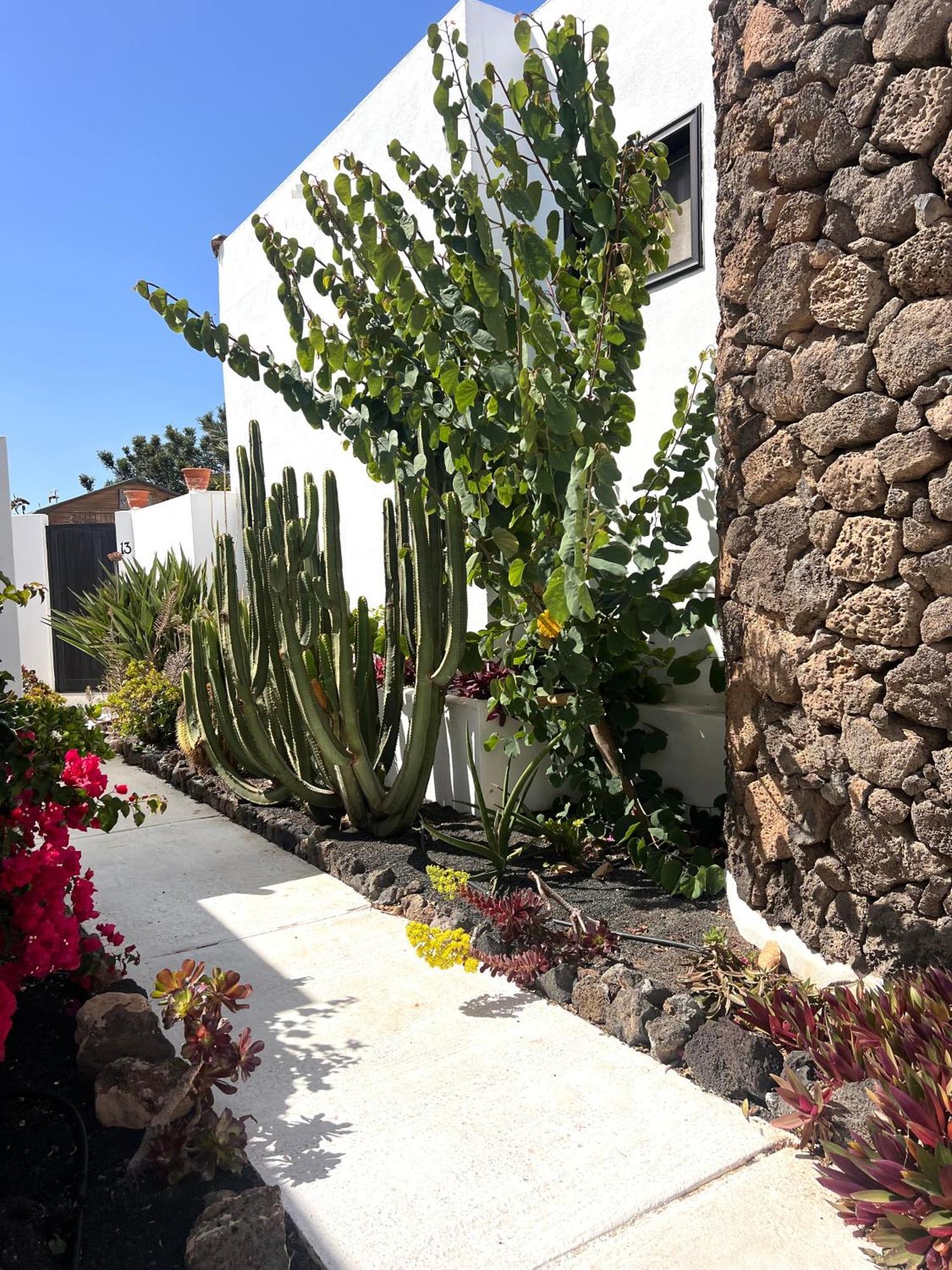 Oasis En Lanzarote Villa Costa Teguise Exteriör bild