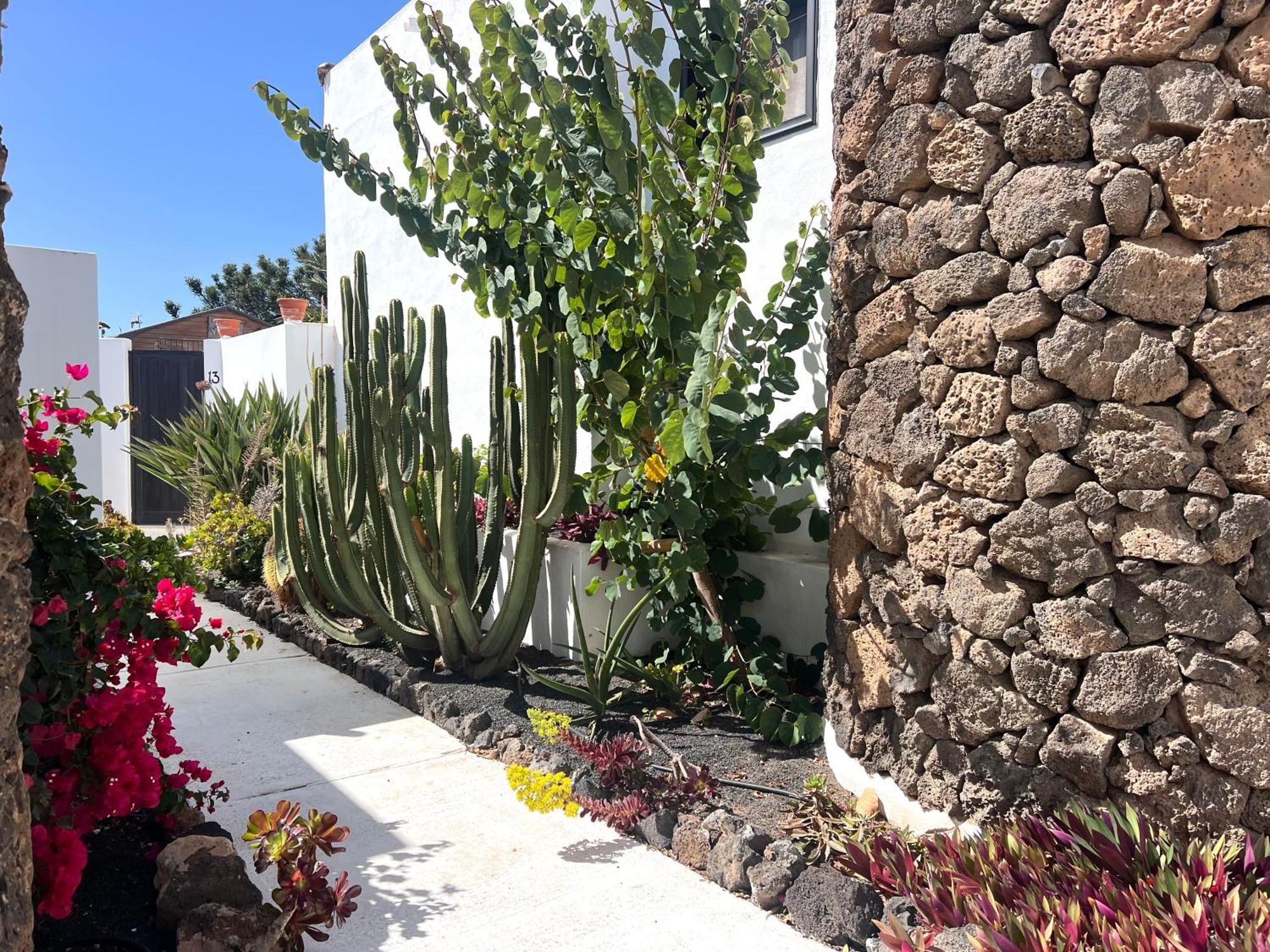Oasis En Lanzarote Villa Costa Teguise Exteriör bild